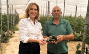 El PP anima a agricultores a solicitar ayudas en Andalucía
