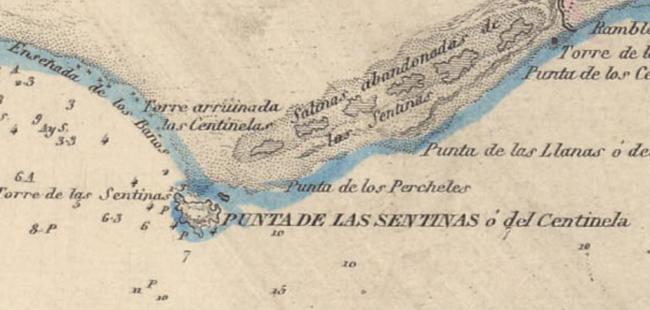 La isla, Murgi y el voluntariado