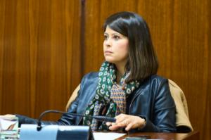 PP pone en valor el Plan de Emergencias de Protección Civil