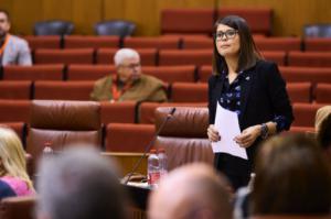 El PP resalta la solidaridad andaluza con Valencia tras la catástrofe
