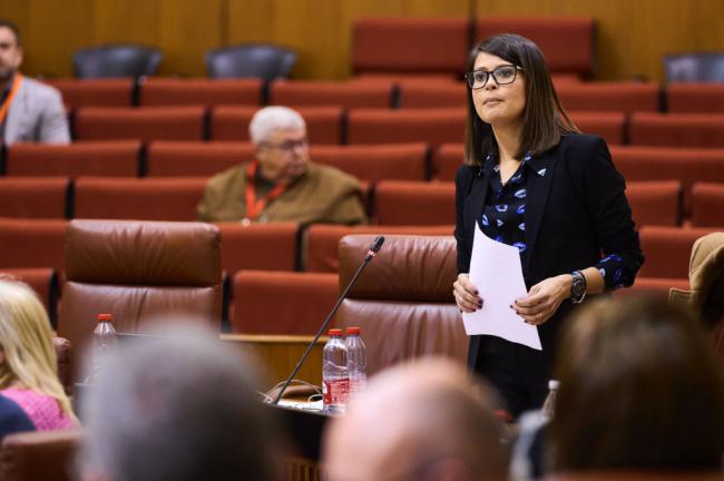El PP resalta la solidaridad andaluza con Valencia tras la catástrofe