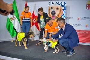 Campaña para evitar el abandono de mascotas