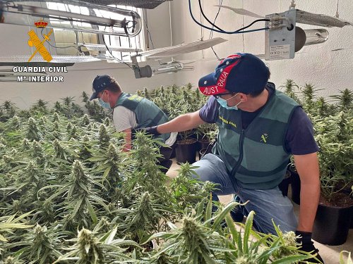 Tres detenidos en Rioja y Roquetas de Mar por cultivo de marihuana