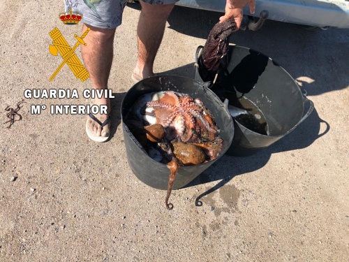 Guardia Civil interviene 30 kg. de pulpo a dos buceadores en Roquetas