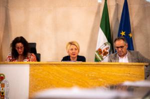 Almería aprueba su Plan Municipal de Vivienda y Suelo