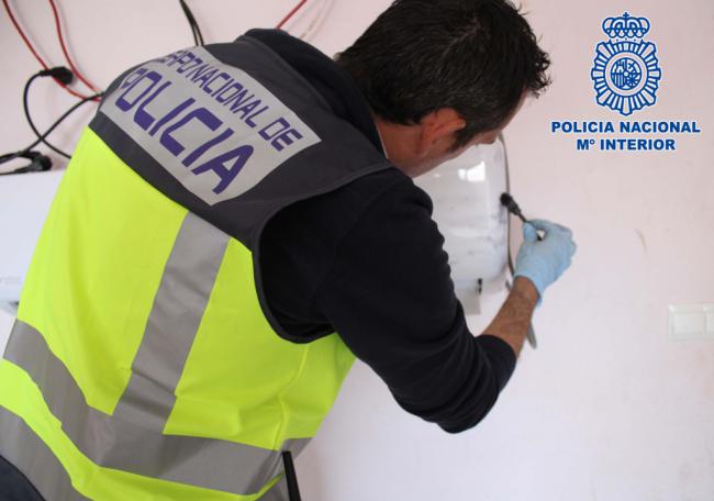 Macrooperación con 28 detenidos y 50.000 plantas de marihuana entre Roquetas y El Ejido