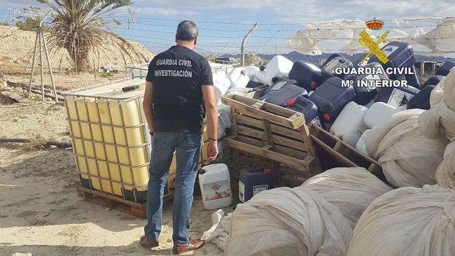 Detenidos por robar en una plantación de marihuana