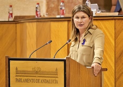 El PP defiende una PNL para apoyar una fiscalidad orientada al crecimiento y al empleo