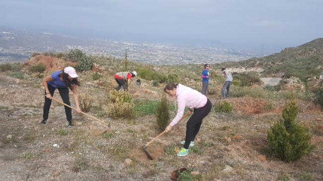 Voluntari@s