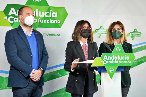 El PP reafirma el compromiso del Gobierno andaluz con el comercio y la artesanía de Almería
