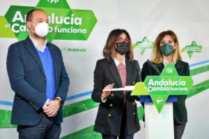 El PP reafirma el compromiso del Gobierno andaluz con el comercio y la artesanía de Almería