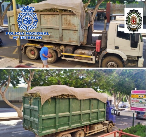 Incautadas más de cuatro toneladas de marihuana en La Cañada