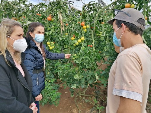 La Junta anima a los jóvenes a solicitar los incentivos para convertirse en agricultores profesionales