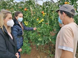 La Junta anima a los jóvenes a solicitar los incentivos para convertirse en agricultores profesionales