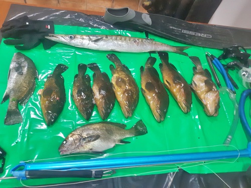 Agentes del AMA sorprenden a dos furtivos haciendo pesca submarina en Cabo de Gata