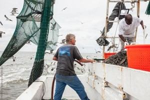 Publican primer informe social anual sobre pesca y acuicultura en Europa