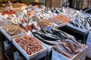 Impactos en el mercado de pesca y acuicultura de la UE