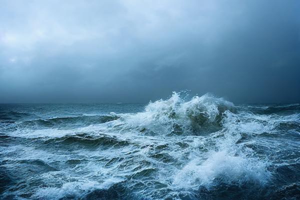Desacuerdos en la pesca del Atlántico Norte amenazan la sostenibilidad a pesar de advertencias científicas