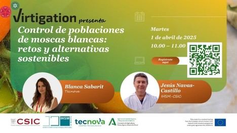 Webinar en Almería sobre control de moscas blancas en invernaderos