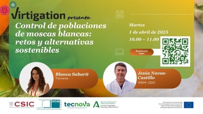 Webinar en Almería sobre control de moscas blancas en invernaderos