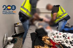 Sustraen joyas valoradas en 70.000 euros