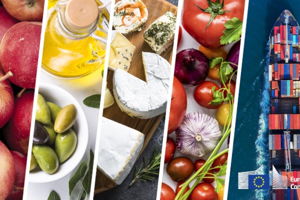 La UE muestra un sólido desempeño comercial en el primer trimestre de 2025, a pesar del aumento en los precios de importación