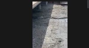 Cazorla graba los "vertidos fecales" al pie de la Rambla