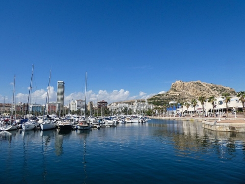 Tres conciertos que ponen Alicante de moda