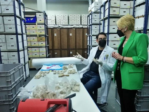 Cultura avanzará en la conservación del patrimonio del Museo de Almería