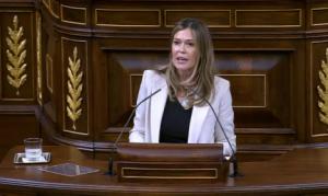 PP lleva al Congreso la "indignación" de Almería por el AVE