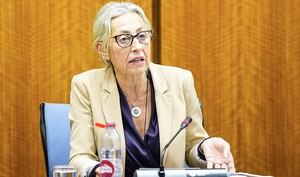 Almería se beneficia de 250 millones para mejorar la sostenibilidad del SAS