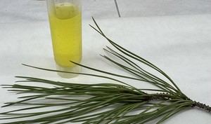 Innovación con un nanosensor para detectar enfermedades neurodegenerativas