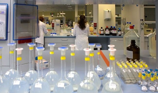 Iinvestigación sobre diabetes tipo 1 y envejecimiento celular en Andalucía