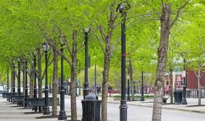 5 millones en subvenciones para el cambio climático en Andalucía