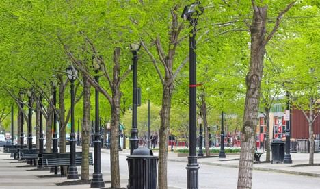 5 millones en subvenciones para el cambio climático en Andalucía