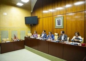 Almería cuenta con tres nuevas salas Gesell para víctimas vulnerables