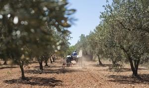 Andalucía aprueba cambios en el PEPAC que benefician a agricultores de Almería