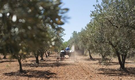 Andalucía aprueba cambios en el PEPAC que benefician a agricultores de Almería