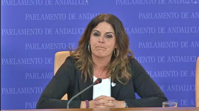 PSOE extiende la sombra del 'Caso Mascarillas' a Junta y Ayuntamiento