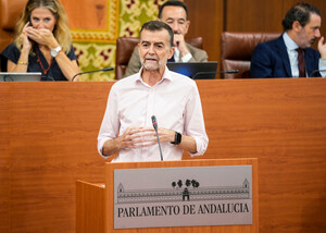 Maíllo exige ayudas inmediatas para los municipios castigados por el fuego en Almería