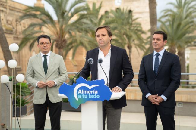 Repullo: Almería necesita inversiones urgentes en infraestructuras eléctricas