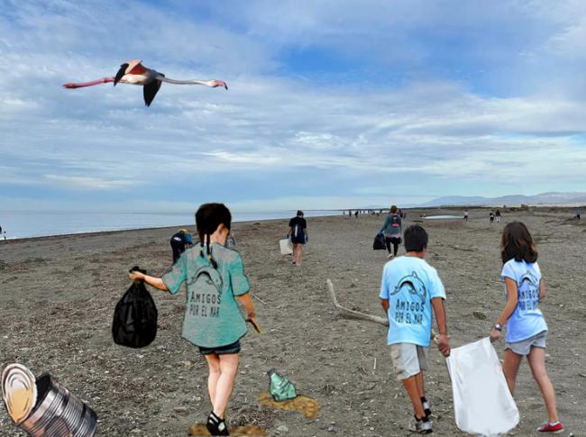 Apadrinando playas para entender el mundo