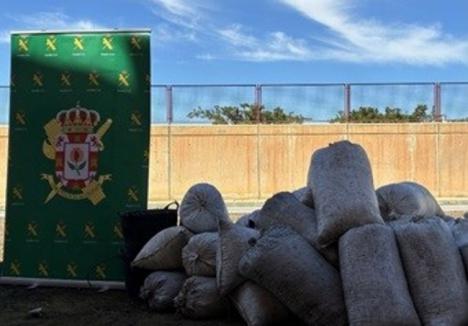 Incautados 1.200 kilos de aceituna robados con la excusa de haber sido comprados en Almería