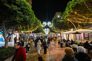 Licitación de alumbrado ornamental en el Paseo de Almería