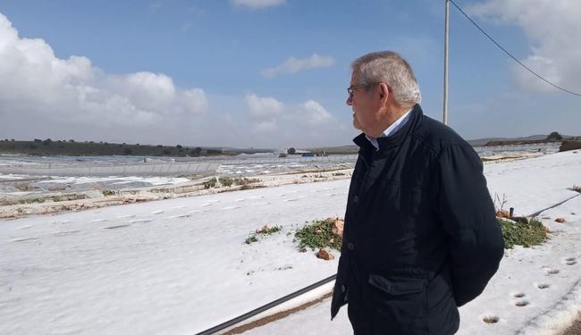 ASAJA valora en 90 millones los daños por Gloria