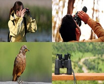 REAJ ofrece avistamiento de aves en albergues de Reservas de la Biosfera