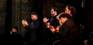 Ayudas para el flamenco en Almería: 210.000€ disponibles para nuevos espectáculos