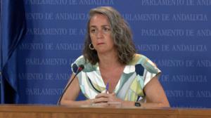 AA sigue cuestionando la no emisión dle Es Alert en Los Gallardos