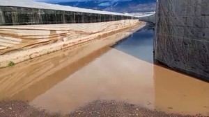 COAG Almería exige cumplimiento de promesas fiscales al ministerio de Agricultura