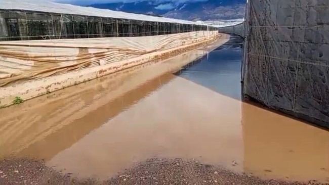COAG Almería exige cumplimiento de promesas fiscales al ministerio de Agricultura